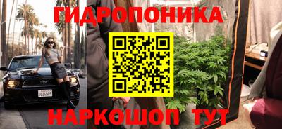 каннабис Будённовск