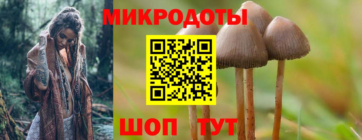 Галлюциногенные грибы ЛСД Сердобск