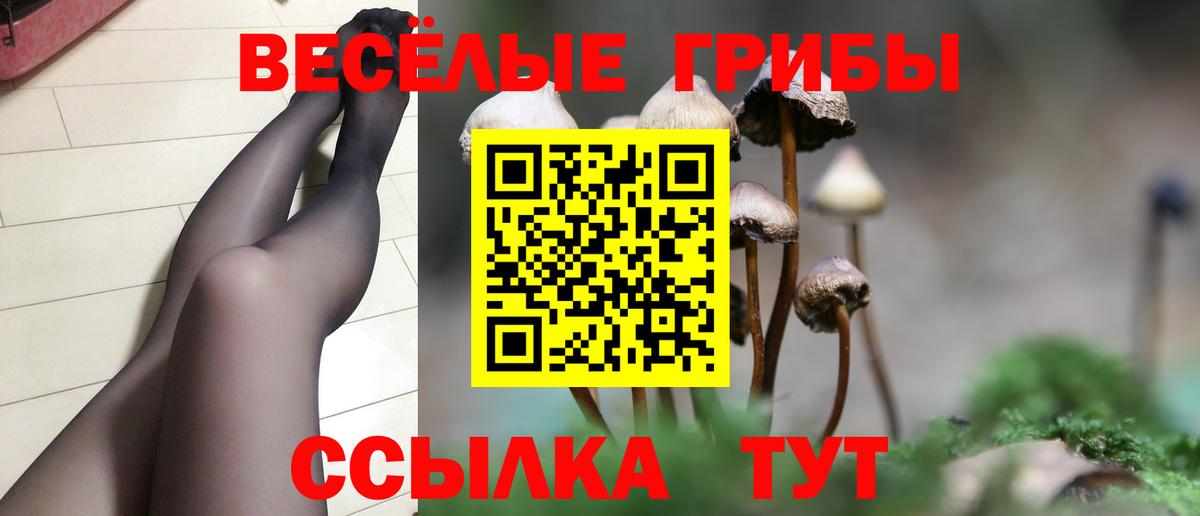 Псилоцибиновые грибы GOLDEN TEACHER  Вход с VPN  Сердобск 